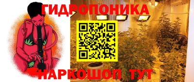 амф Лесосибирск