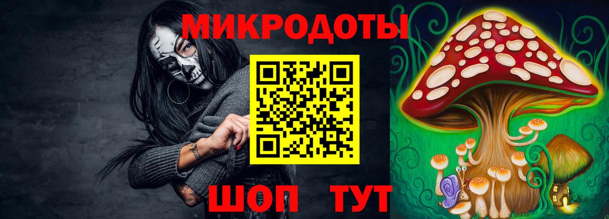 Галлюциногенные грибы Cubensis Калач-на-Дону